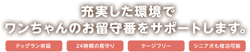 充実した環境でワンちゃんのお留守番をサポートします。ドッグラン併設・24時間の見守り・ケージフリー・シニア犬も宿泊可能