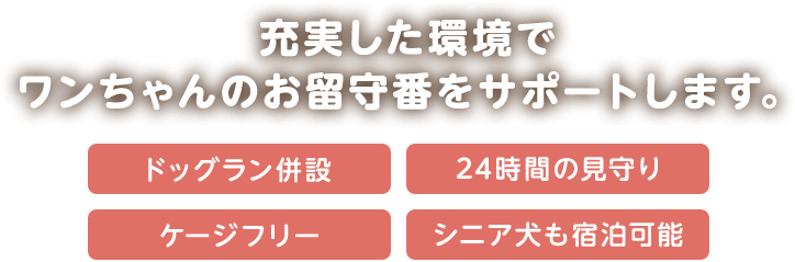 充実した環境でワンちゃんのお留守番をサポートします。ドッグラン併設・24時間の見守り・ケージフリー・シニア犬も宿泊可能